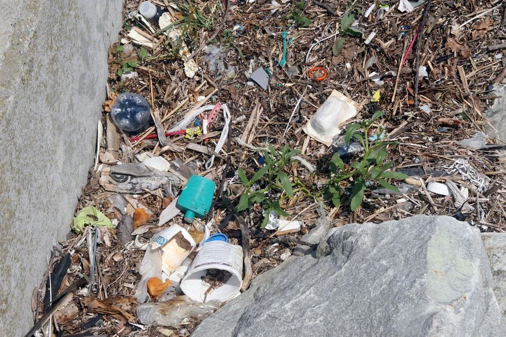 O NJOJ PRIČA CELA SRBIJA: Ana je našla smeće na Fruškoj gori pa ga poštom vratila vlasniku!