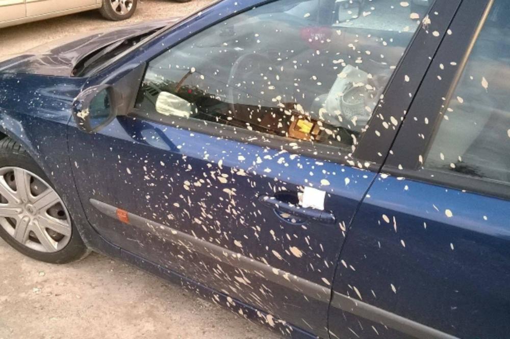 UNIŠTIO JE NOVOSAĐANINU AUTO NA PARKINGU! A onda je ODUŠEVIO CELU SRBIJU! (FOTO)