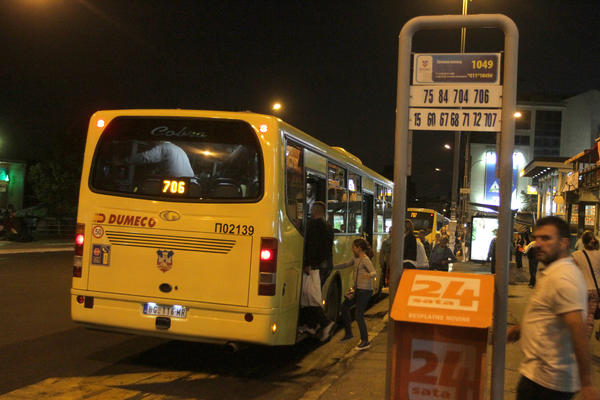 Horor u Nišu! Zmija izletela iz autobuske stanice usred grada i ujela čoveka, hitno prebačen na Infektivnu klinku