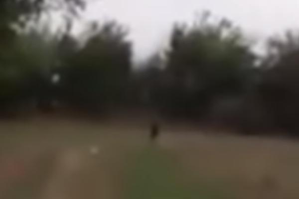 ŠTA JE TO? ŠTA JE TO? Devojčice su rekle ove reči, a onda su počele da VRIŠTE I BEŽE! (VIDEO)