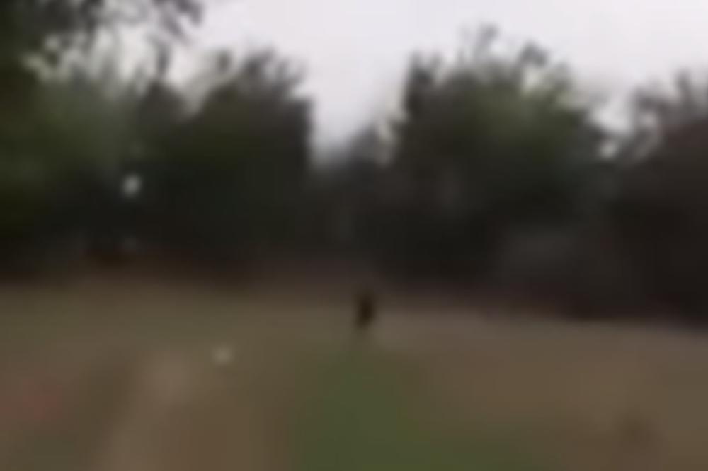 ŠTA JE TO? ŠTA JE TO? Devojčice su rekle ove reči, a onda su počele da VRIŠTE I BEŽE! (VIDEO)