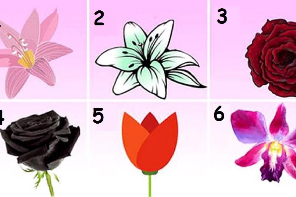 Koji cvet vam se najviše sviđa? On će vam otkriti zapanjujuću tajnu vašeg karaktera! (FOTO)