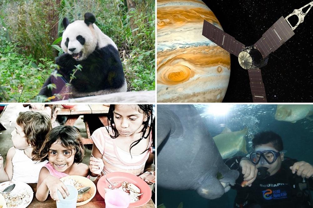 20 najboljih vesti koje morate čuti ODMAH! (VIDEO)