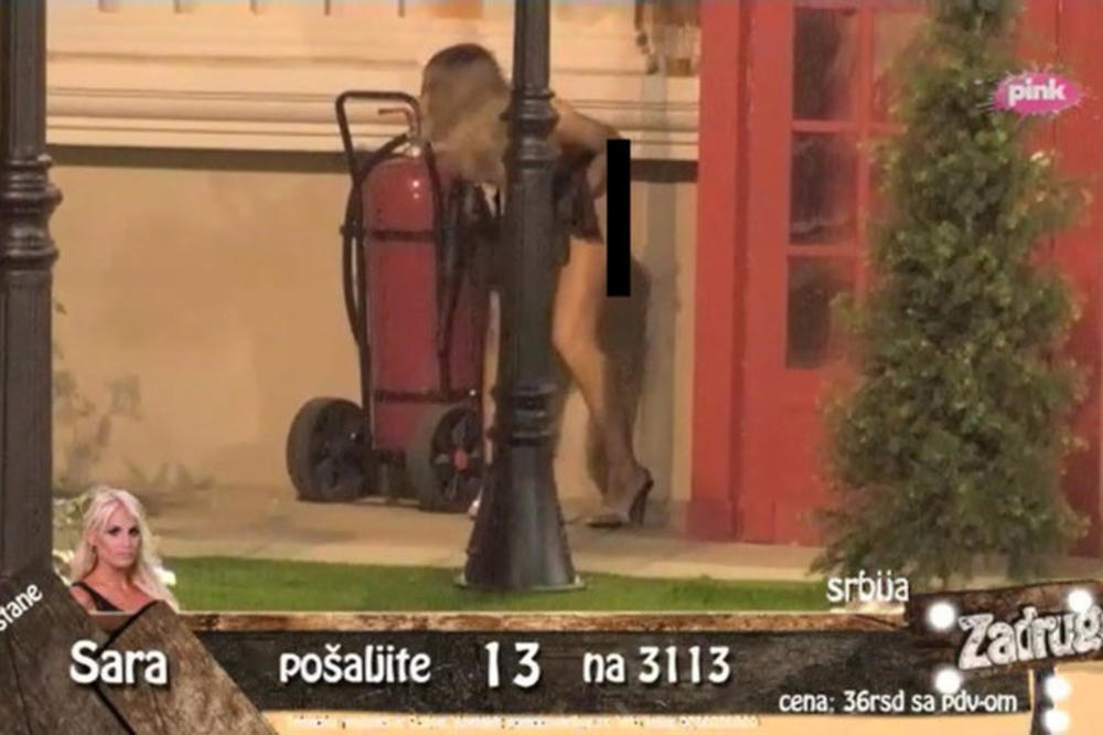 E, OVO JE STVARNO ODVRATNO! Maca obavila NUŽDU nasred dvorišta, ali ni tu nije bio kraj! (FOTO) (VIDEO)