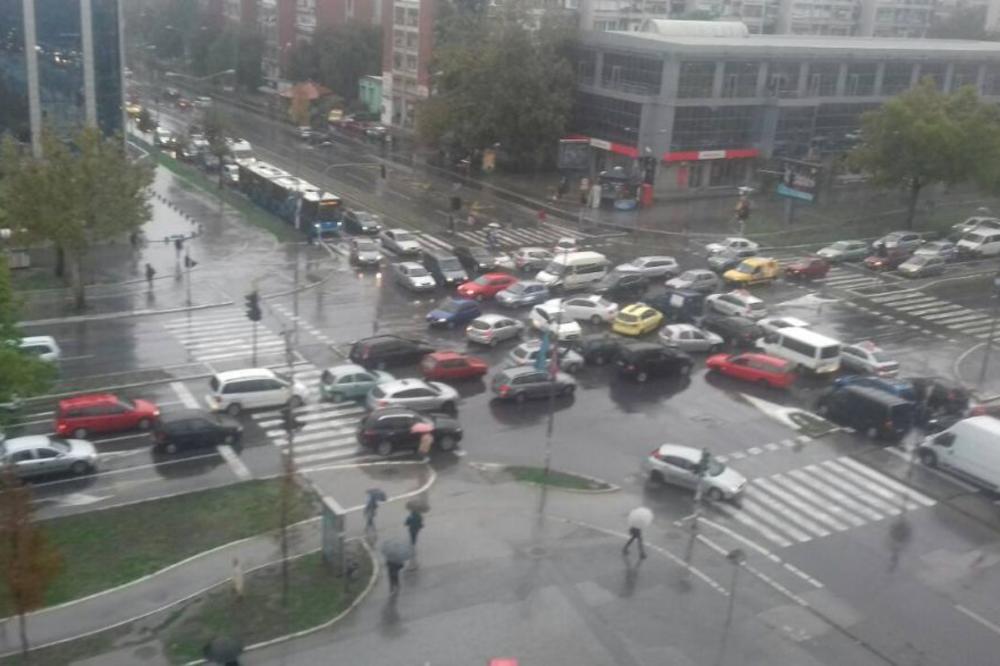 ŽURKA NA SEMAFORU U NS: Bizarna situacija iz koje NI ISKUSNI VOZAČI NE MOGU DA IZAĐU (FOTO)