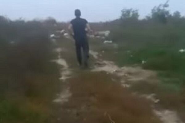 UŽAS NA SRPSKOM GROBLJU! Psa su vezali za leš raspadnute krave, ono što sledi rasplakaće vas, SIGURNO! (VIDEO)