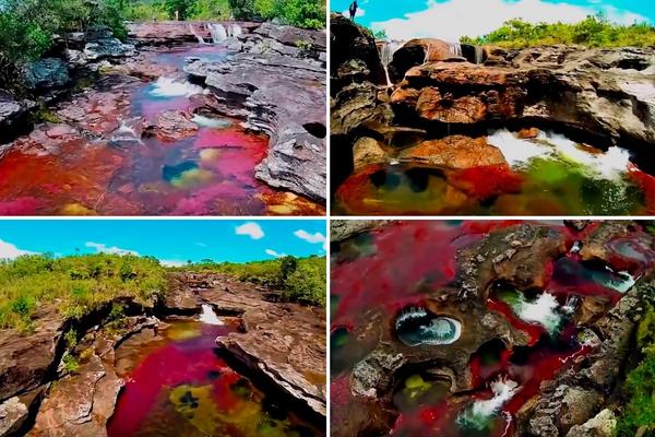 Zamisli da se bar jednom bućneš u ovu rajsku reku! Lepšu sigurno niste vdeli! (FOTO) (VIDEO)