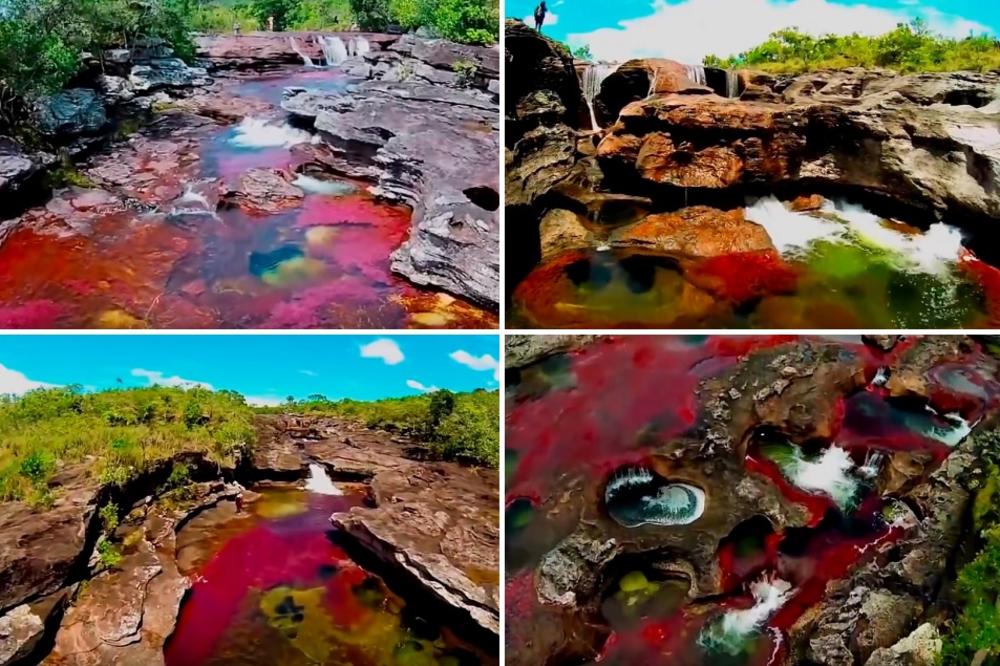 Zamisli da se bar jednom bućneš u ovu rajsku reku! Lepšu sigurno niste vdeli! (FOTO) (VIDEO)