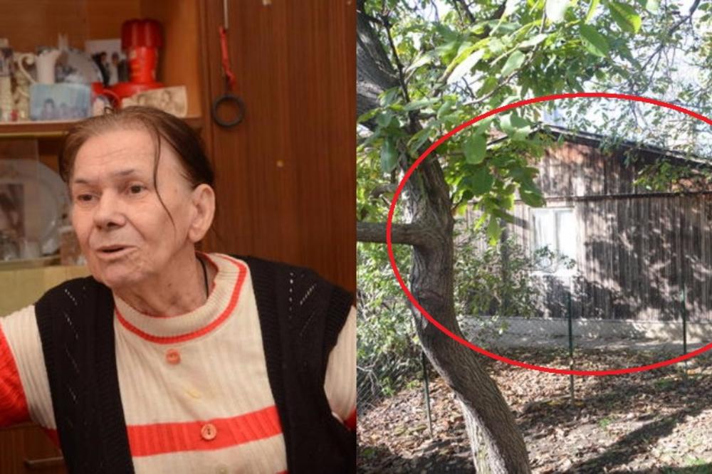 SLAVKU IZBACUJU IZ TROŠNE KUĆICE OD 9 KVADRATA: Sama sam, nemam nikoga, bolje mrtva nego na ulici (FOTO)