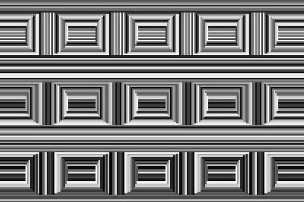 NA OVOJ SLICI JE 16 KRUGOVA: Možete li sve da ih pronađete za 30 sekundi? (FOTO)