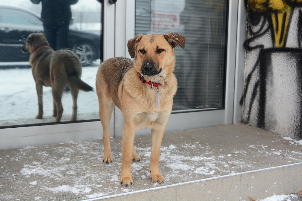 EVO NAMA SNEGA! Poznato je GDE i KADA će padati u Srbiji