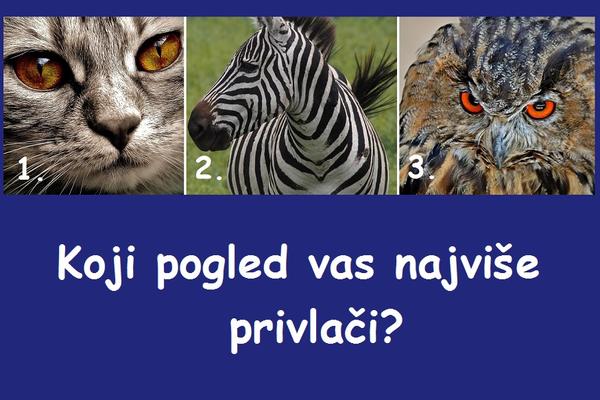 Pogled jedne životinje može da zaviri u vašu dušu! Ona ima jako važnu poruku za vas! (FOTO)