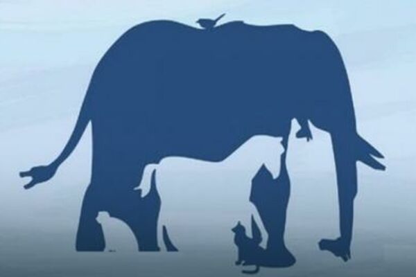 CEO SVET SE POSVAĐAO OKO OVE SLIKE: Koliko vi životinja vidite na njoj? (FOTO)