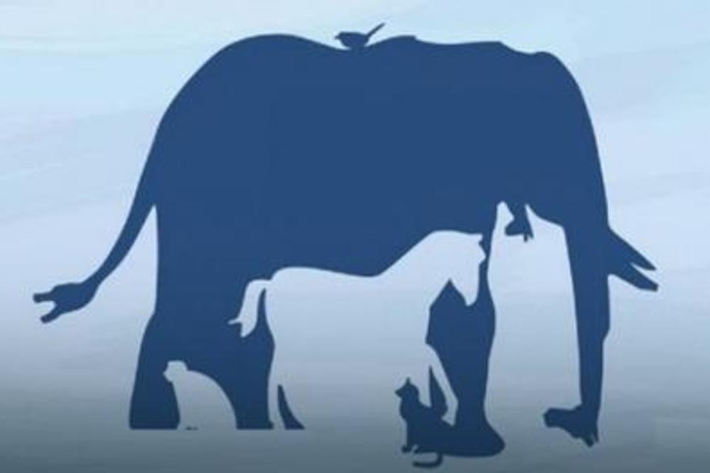 CEO SVET SE POSVAĐAO OKO OVE SLIKE: Koliko vi životinja vidite na njoj? (FOTO)