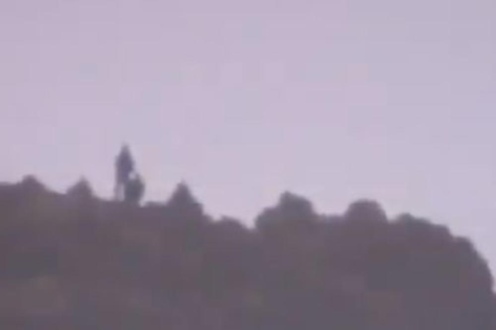 DEVOJKA JE SNIMALA DRVEĆE NA BRDU: Ugledala je visoke prilike koje stoje i posmatraju... (VIDEO)