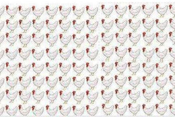 Samo 10% ljudi za manje od minuta rešava ovu zagonetku! Koliko vam treba da vidite šta nije u redu sa slikom? (FOTO)