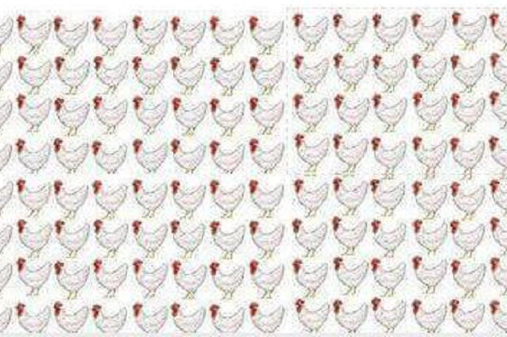 Samo 10% ljudi za manje od minuta rešava ovu zagonetku! Koliko vam treba da vidite šta nije u redu sa slikom? (FOTO)