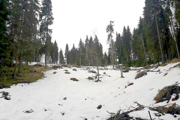 POGINULI MLADIĆ I DEVOJKA SE UPOZNALI U KAFANI PRE NESREĆE: Novi detalji tragedije na Kopaoniku