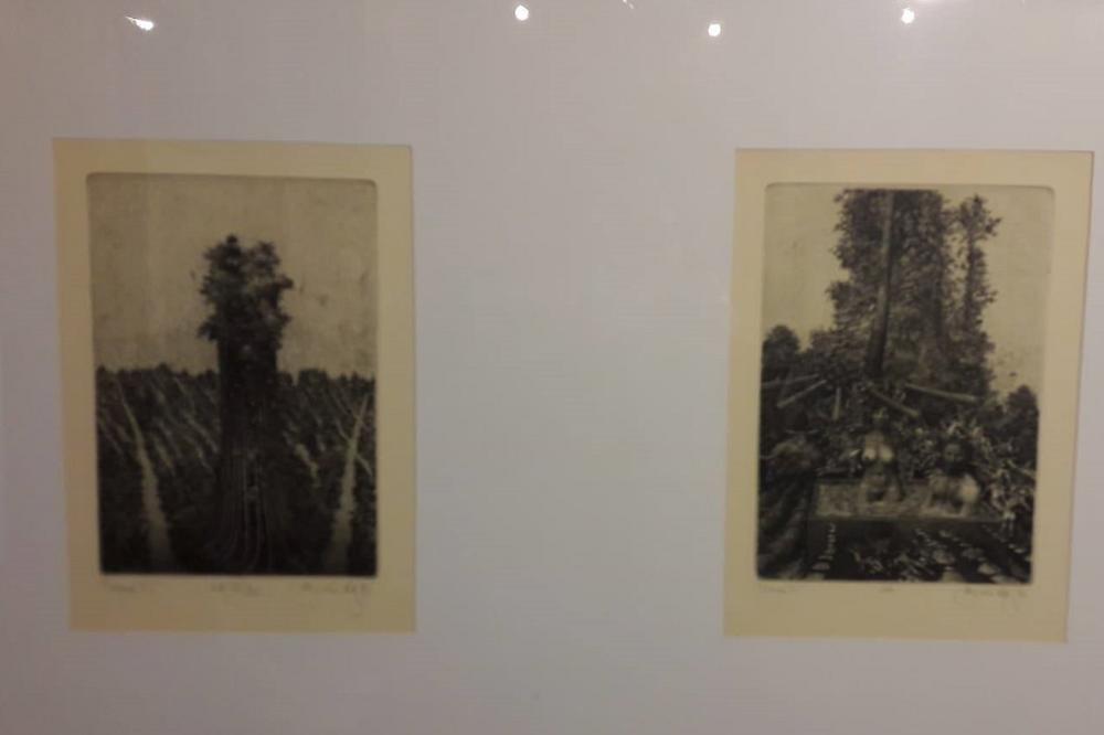 Bajka za odrasle u Grafičkom kolektivu! Svratite na izložbu i potpišite peticiju protiv njegovog nestanka!