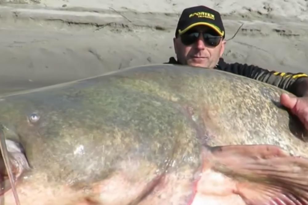 NAJVEĆI SOM IKAD UPECAN KRIO JE NEVEROVATNU TAJNU: U njegovoj utrobi pronađeni su ljudski ostaci, kada se saznalo čiji su svi su bili u ŠOKU! (VIDEO)