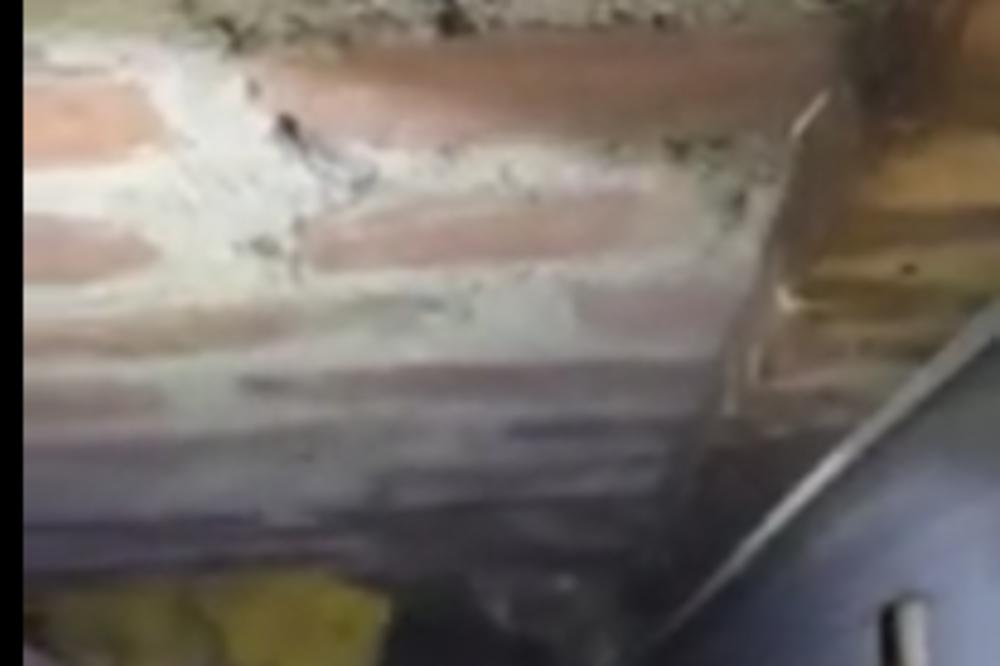 DANIMA SU SLUŠALI ČUDNE ZVUKE U SVOJOJ KUĆI: Onda su shvatili da se nešto krije U ZIDOVIMA! (VIDEO)