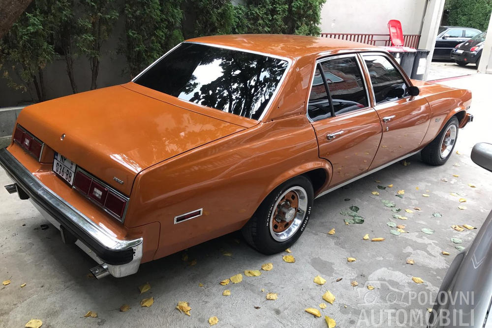 SVI VOZE ROVERE, DŽIPOVE I BMW! HOĆETE DA BUDETE DRUGAČIJI I DA VAS SVI PRIMETE? Kupite ovog macana i svet će vam se promeniti!