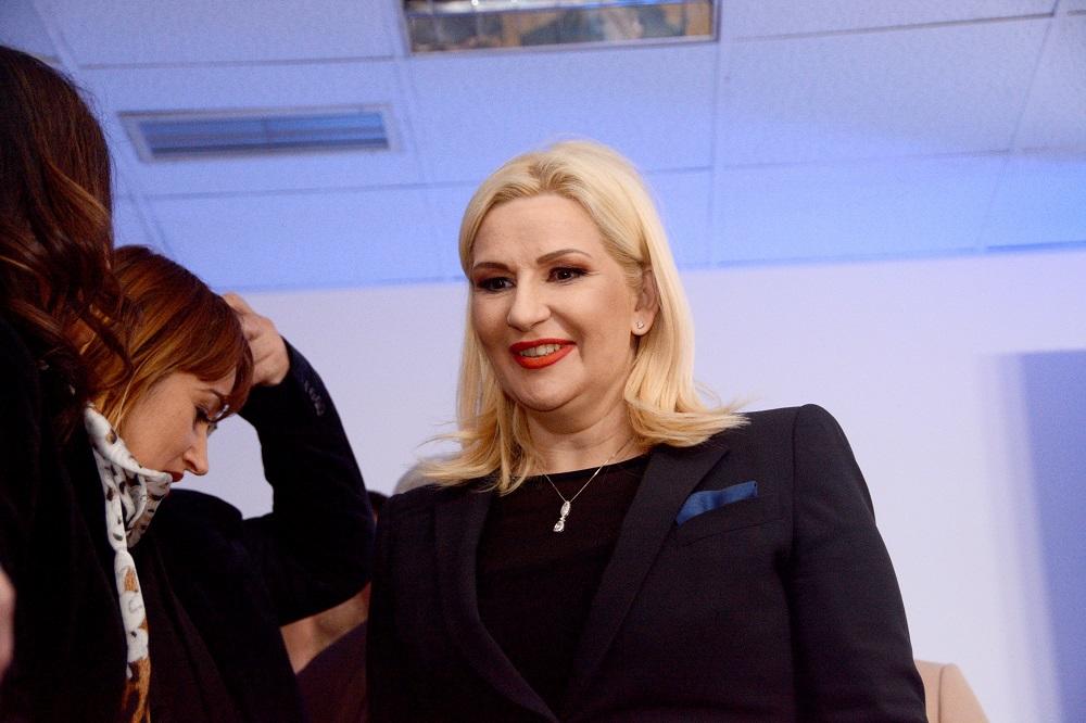 Mihajlović: Jedini cilj opozicije da se domogne vlasti