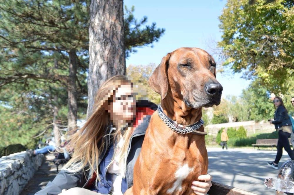 NOVOGODIŠNJA RASVETA U BG ODNELA ŽRTVU?! Kablovi na Trgu Nikole Pašića usmrtili KUCU FANI!