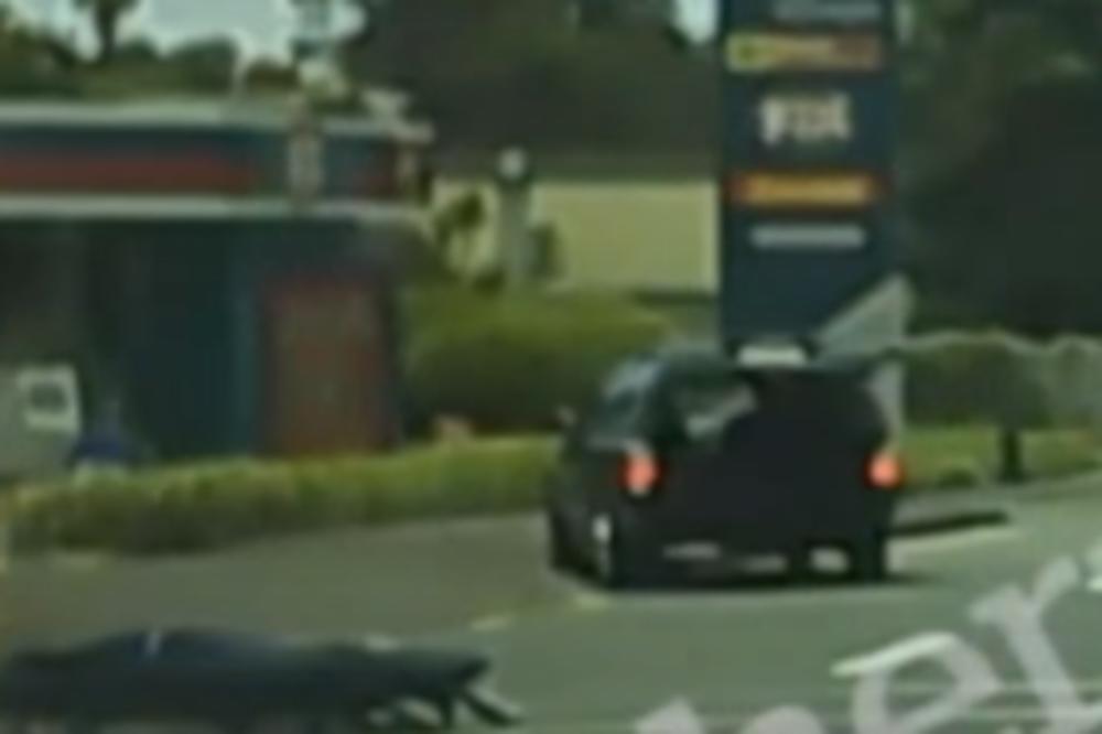 USRED PROMETNE ULICE UGLEDAO NEŠTO MORBIDNO: Šta je to ispalo iz crnog automobila? (VIDEO)