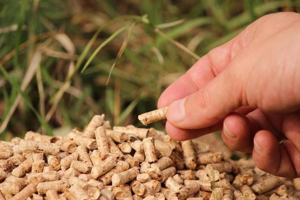 SRBI ŽELE DA KUPE OVU STVAR SVE VIŠE! Baš za ovim proizvodom vlada prava NESTAŠICA