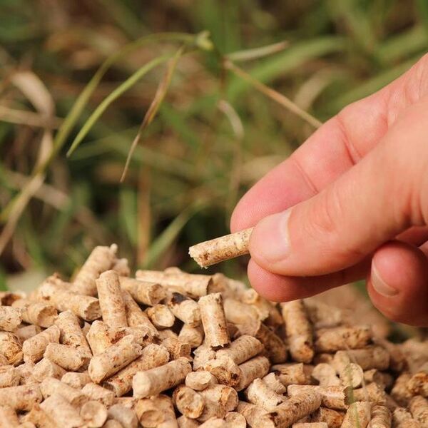 Prodavci u Srbiji upozoravaju na nestašicu peleta: Evo da li ga ima dovoljno i kako se sada kreće cena