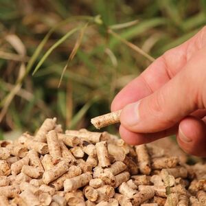 Šta je Srbima isplatljivije? Grejanje na drva ili pelet? Ovaj ogrev je ipak bolji za vaš dom!