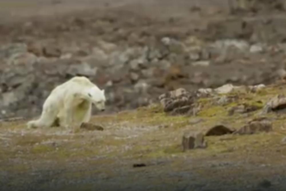 NE POSTOJI NIŠTA TUŽNIJE OD OVOG SNIMKA! Ovo je RASPLAKALO i najtvrđa srca, a posebno OVOG čoveka (VIDEO)(FOTO)