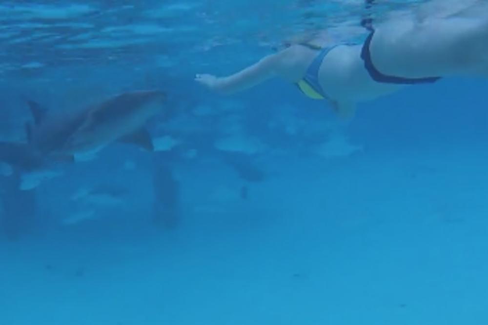 OGROMNA AJKULA POJAVILA SE NA PLAŽI U HRVATSKOJ: Ljudi počeli panično da beže, pogledajte smo ovu neman! (VIDEO)