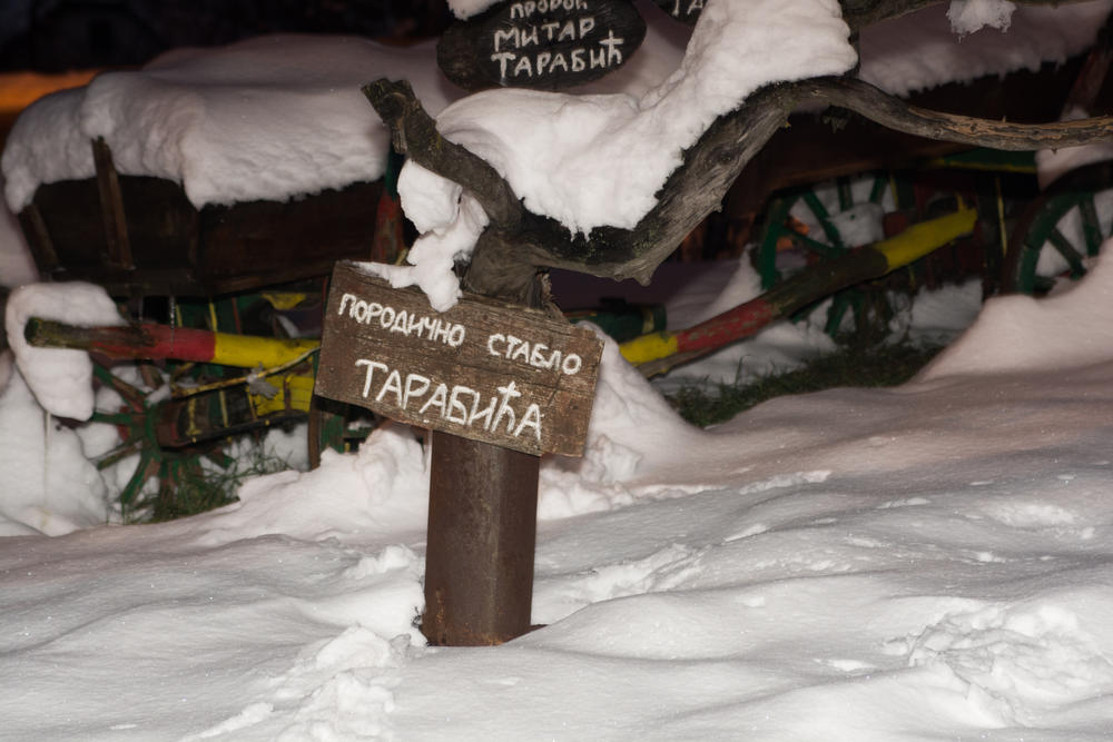 PORODIČNO STABLO TARABIĆA