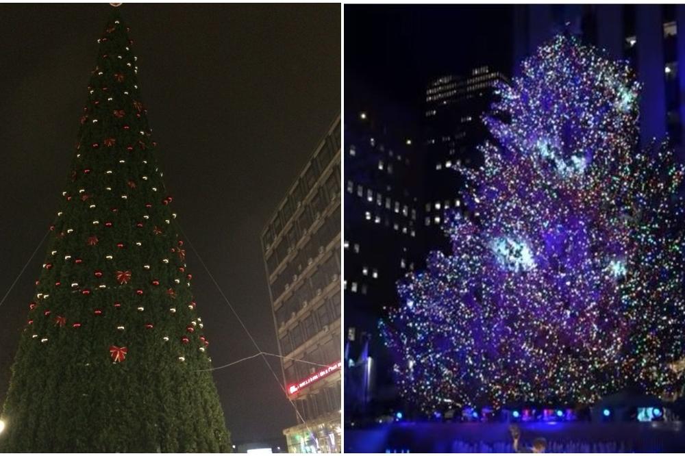 Beogradska jelka skuplja od Rokfelerove u Njujorku, košta 83.000 evra! POSLASTICA: Postavljena je pre tendera!