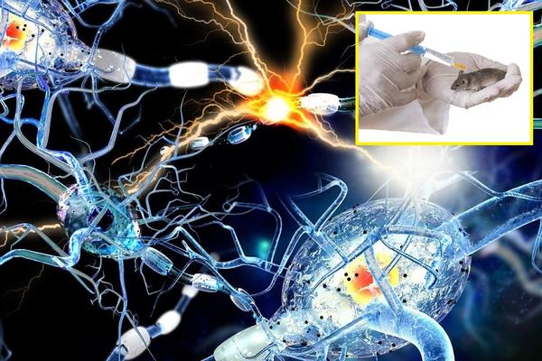 Konačno OTKRIVEN LEK za jednu od NAJRAZORNIJIH BOLESTI ČOVEČANSTVA! (FOTO) (GIF)