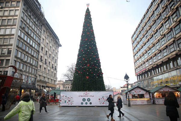 Tužilaštvo odbacilo krivičnu prijavu zbog malverzacija pri kupovini najskuplje novogodišnje jelke na svetu!