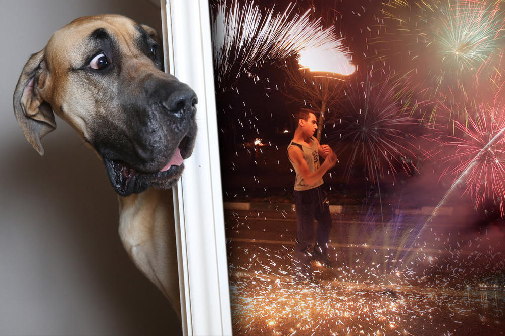 5.000 LJUBIMACA STRADA ZBOG PETARDI! Ovo su saveti da vaši najbolji prijatelji BEZBEDNO provedu praznike