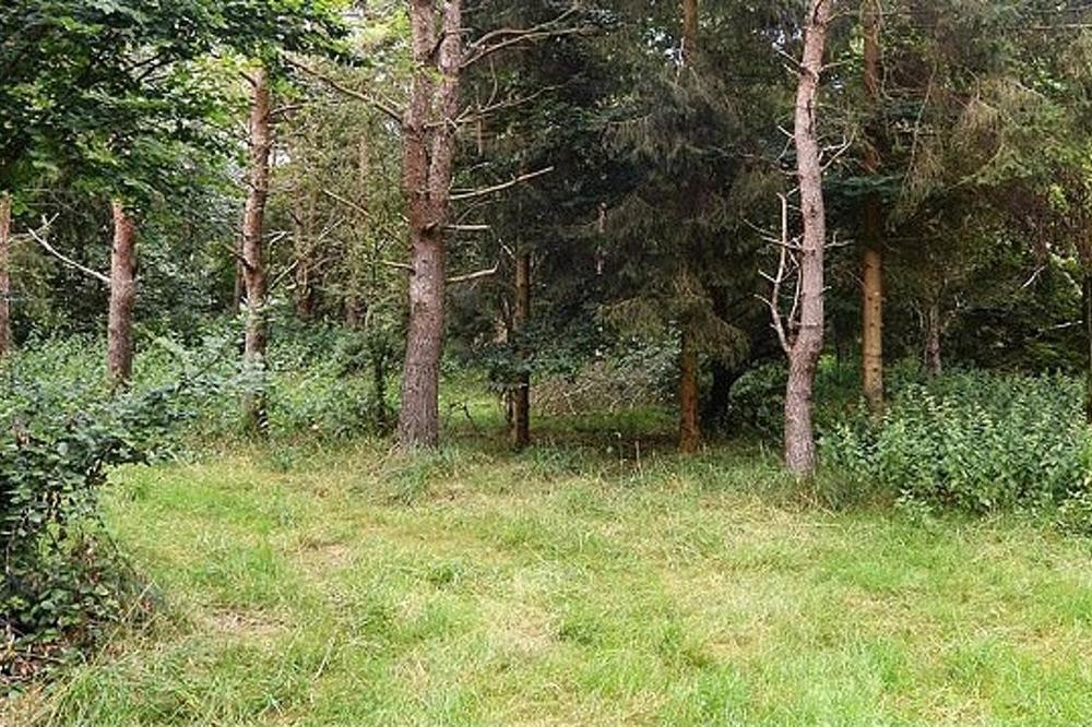 Da li možete da pronađete 6 SNAJPERISTA na ovoj fotografiji? Ovako izgleda savršena kamuflaža!