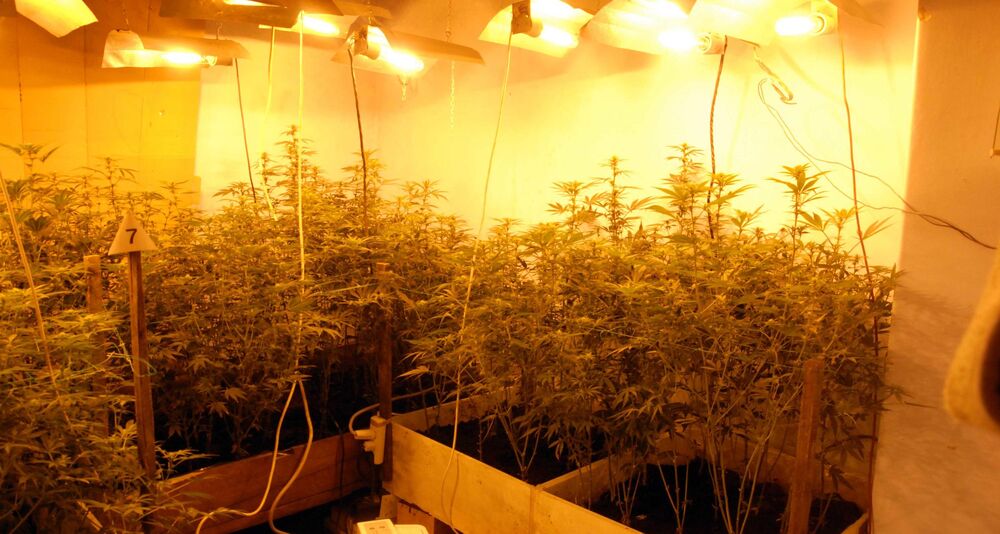 MUP: Laboratorija marihuane