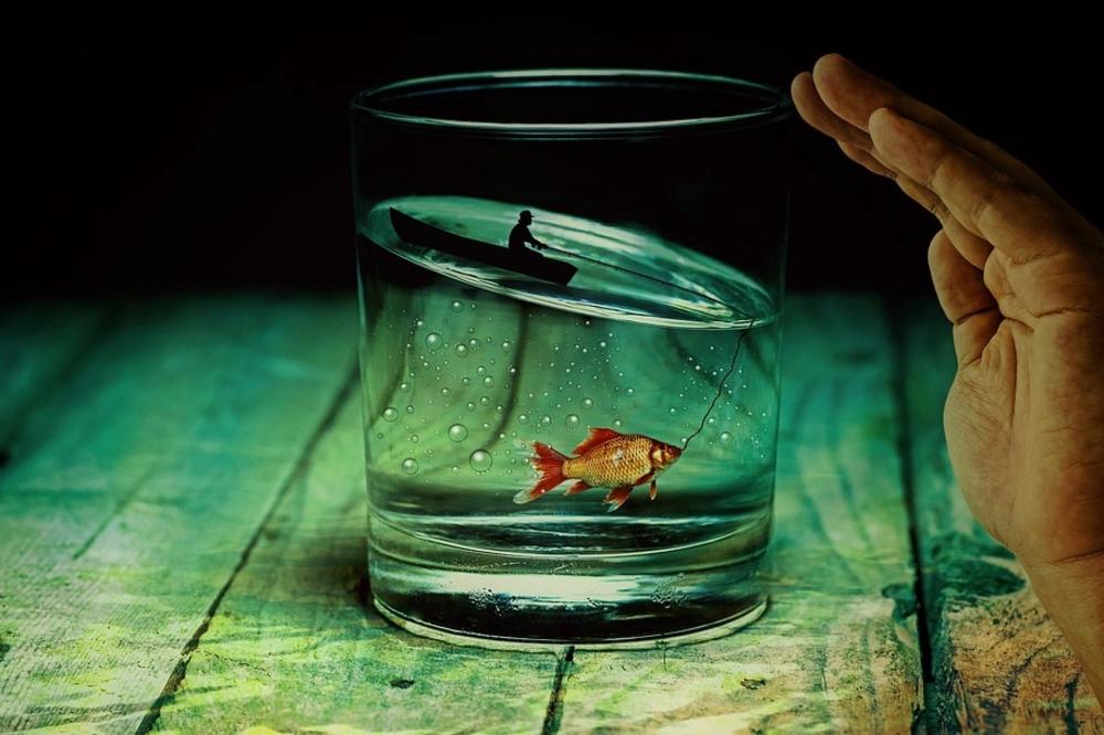 Ne treba ti ZLATNA RIBICA, ovo ispunjava SVE ŽELJE PREKO NOĆI! (FOTO) (GIF)