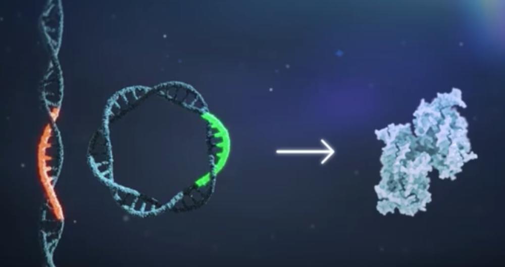 Uskoro bi mogli da pronađemo lek za nasledne bolesti