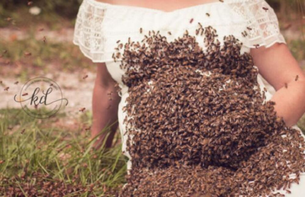 Neobična fotografija 