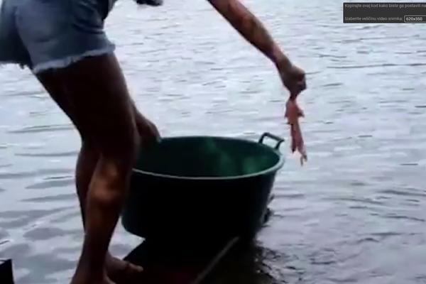 PECA PIRANE GOLIM RUKAMA: Da li je ovo NAJHRABRIJA DEVOJKA NA SVETU? (VIDEO)