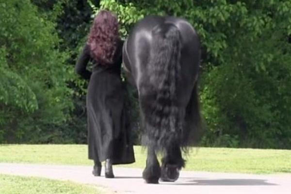 KADA GA GLEDATE OTPOZADI IZGLEDA SASVIM OBIČNO, ali kad se ovaj konj okrene... (VIDEO)