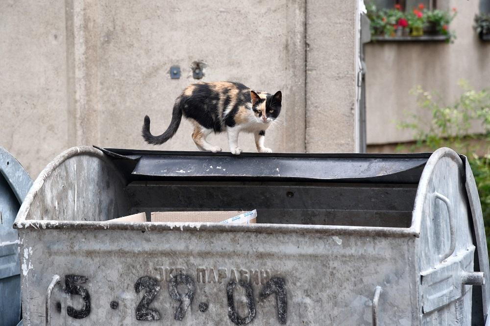 HOROR U SARAJEVU: U novogodišnjoj noći u kontejneru pronađena BEBA!