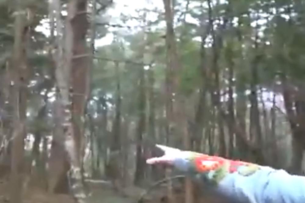 OTIŠAO JE U JAPANSKU ŠUMU SAMOUBICA: Ono što je tamo snimio, LEDI KRV U ŽILAMA! (UZNEMIRUJUĆI VIDEO)