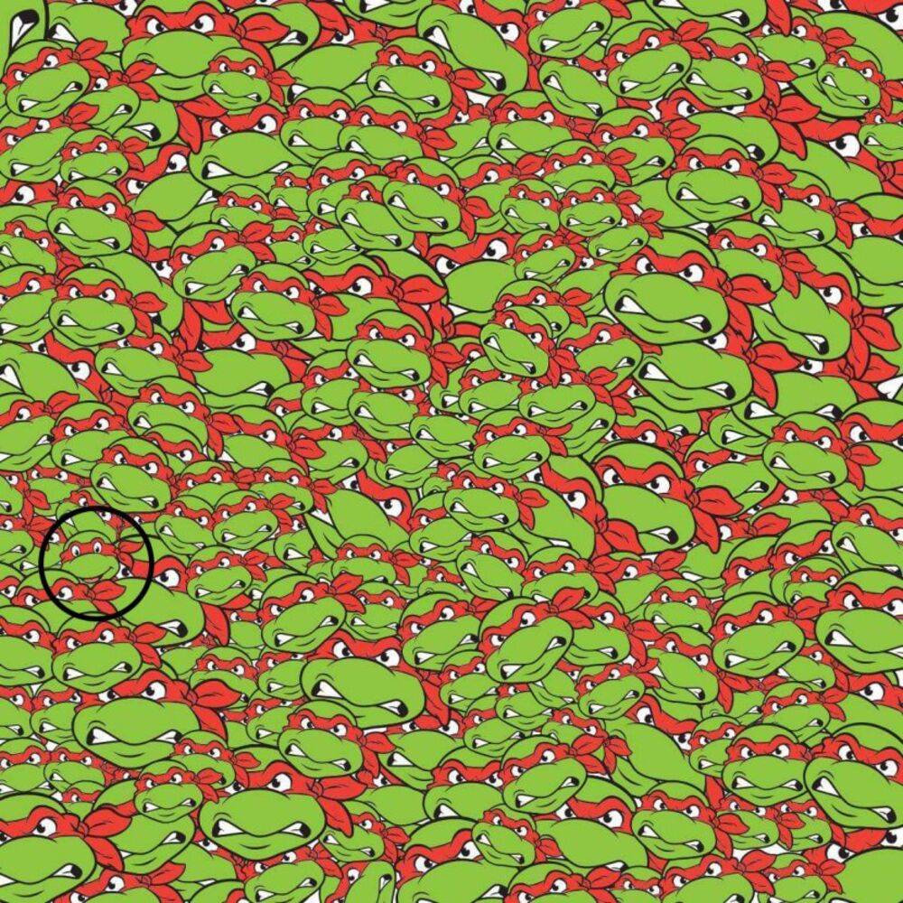 Evo gde se Rafaelo sakrio