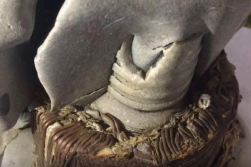 OTKRIĆE KOJE MENJA ISTORIJU: Na Kosovu pronađen TRANSFORMATOR star 20.000 godina! (VIDEO)